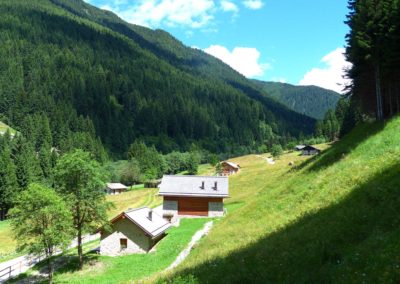 Prai - Tomei (2)