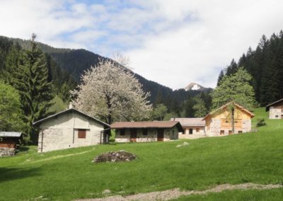 Prai - Tomei