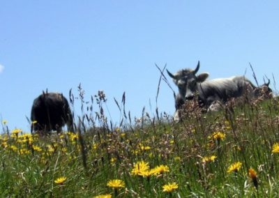 dintorni-rifugio