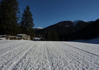 Pista battuta