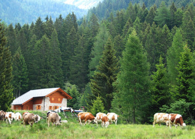malga-casarina