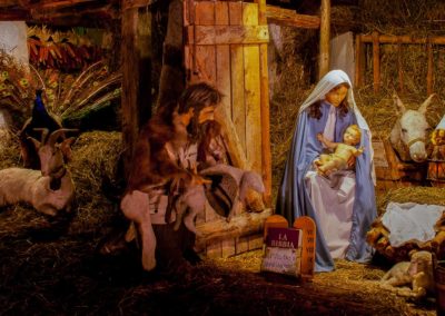 Presepe da vicino