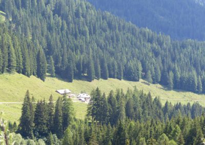 Agritur - Casarina (2)