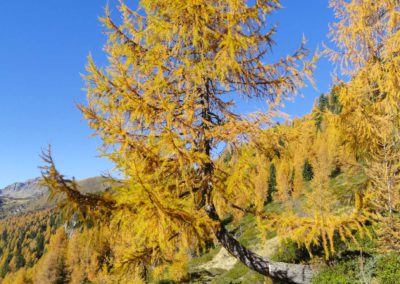 Autunno