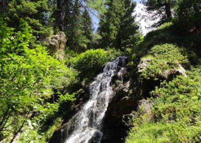 Buse - Calgere