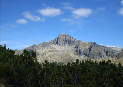 Cima - d'Asta (2)