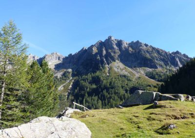 Cresta - Ravetta (2)