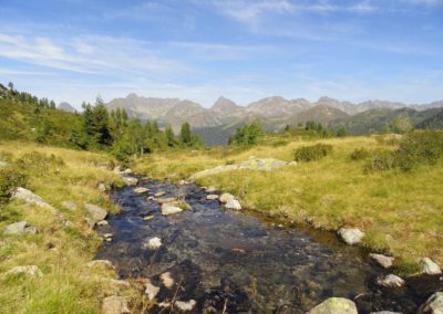 DSC05857