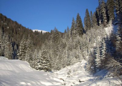 DSCN0907
