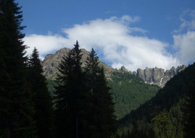 DSCN1985