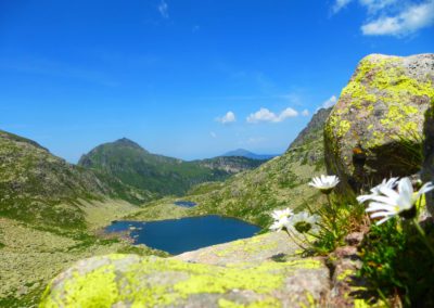 Lago - Lagorai (2)