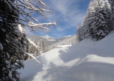 Malga - Casarina