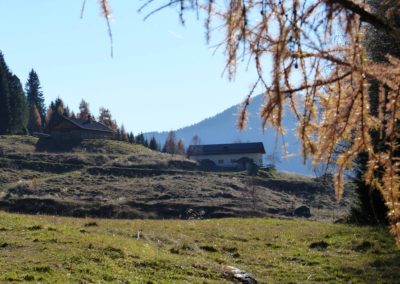 Malga - Cenon - di - Sotto