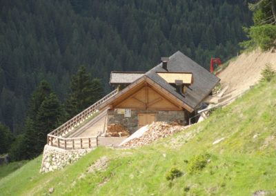 Malga Cenon di sopra-vista