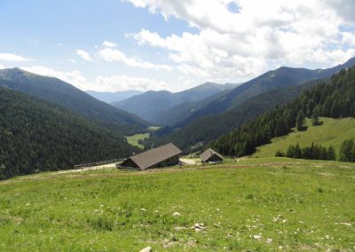 Malga - Consèria