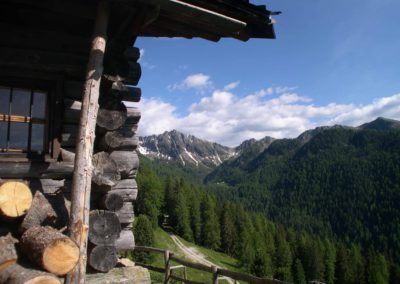 Nassare (2)