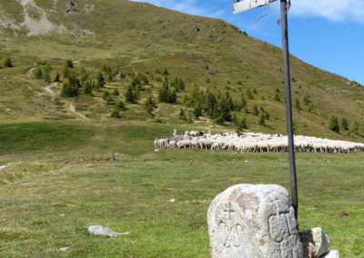 Passo - 5 - Croci (2)