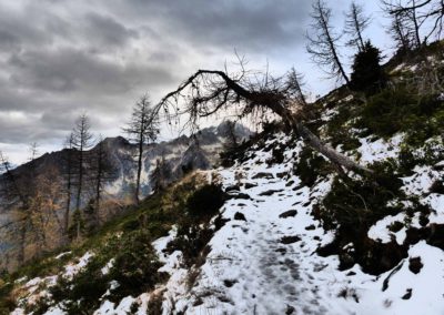 Sentiero - Forcella - Magna