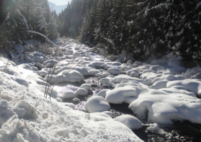 Torrente - Maso